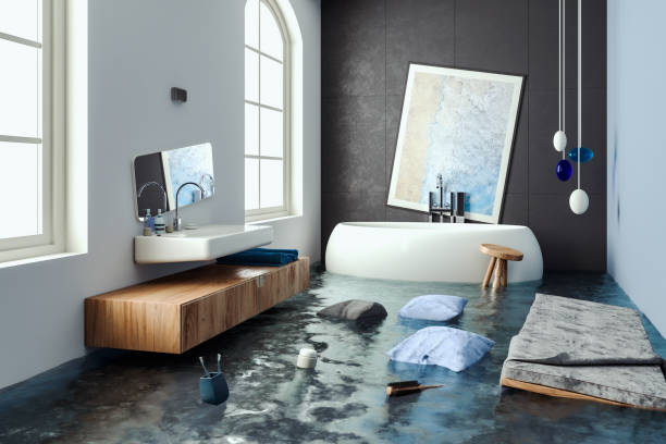 Best Professional water damage repair  in Leander, TX