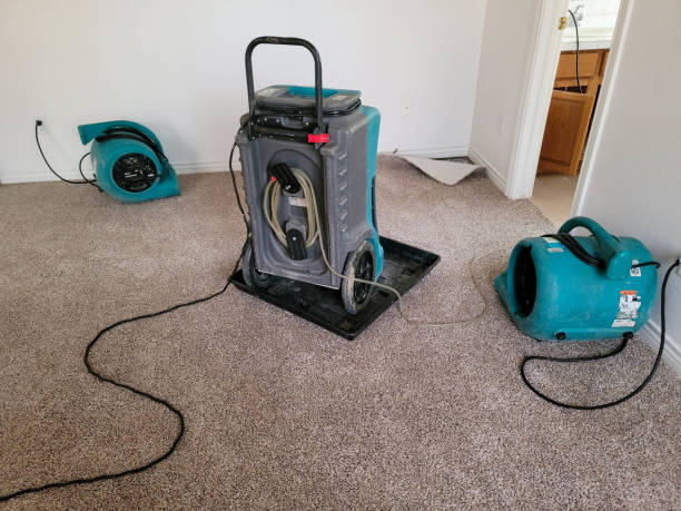 Best Water damage restoration insurance claims  in Leander, TX
