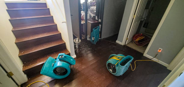 Best 24-hour water damage restoration  in Leander, TX