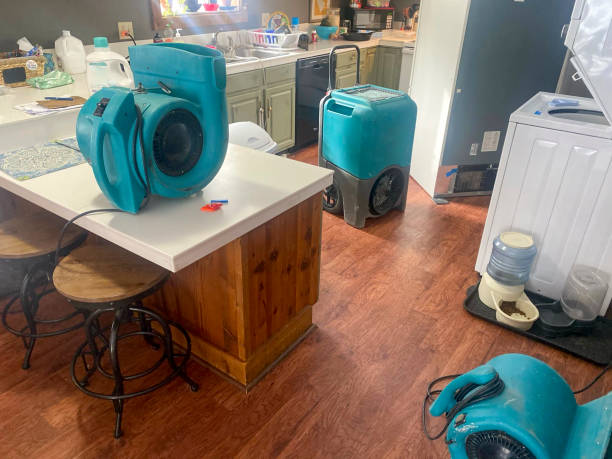 Best Emergency water damage restoration  in Leander, TX