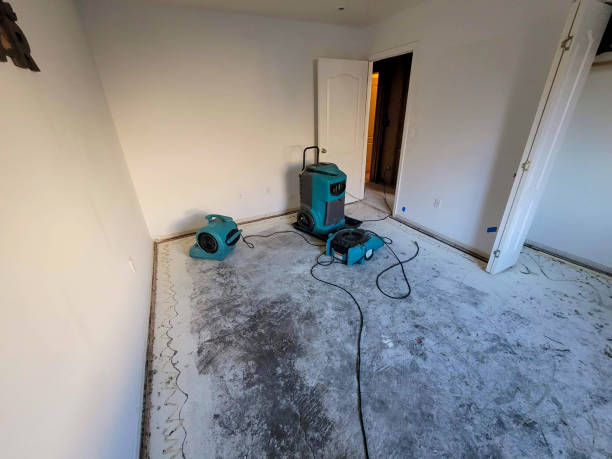 Best Water damage mitigation services  in Leander, TX
