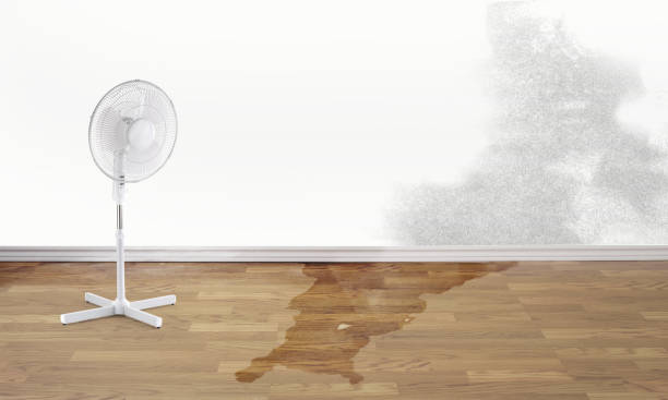 Best Fire Damage Restoration  in Leander, TX