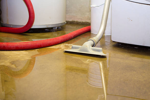 Best 24/7 water damage repair  in Leander, TX