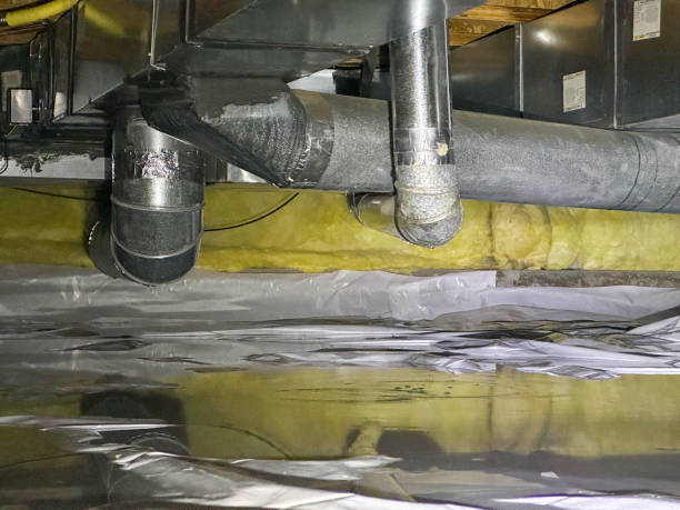 Best Water damage restoration experts  in Leander, TX