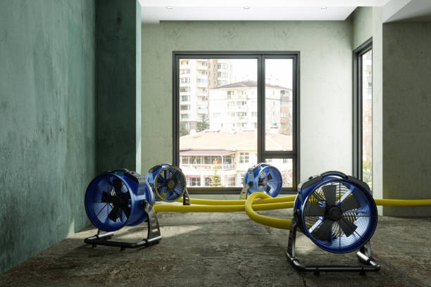 Best Flood damage cleanup  in Leander, TX
